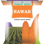 Crofit Agro